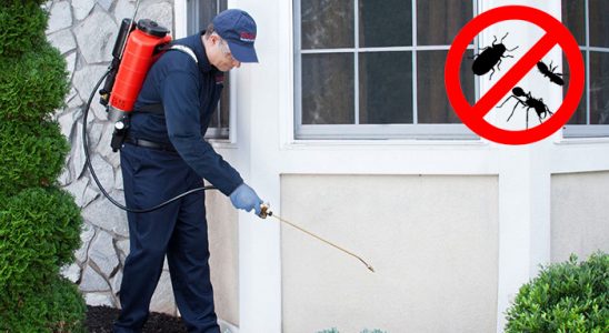 Yenifakılı Karınca İlaçlama böcek ilaçlama ve haşere kontrolü — ilaclama-tr.com